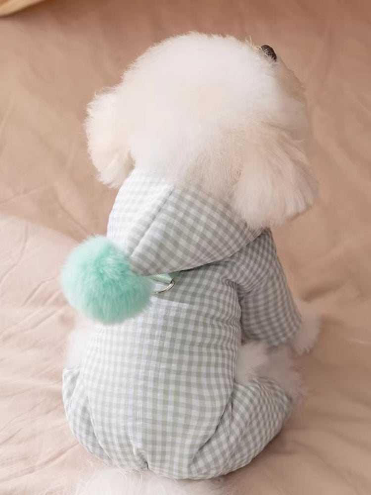 Rear view of a fluffy white dog in a light green gingham dog coat with a mint green pom-pom.