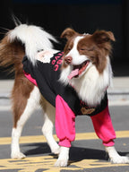 A brown and white Border Collie dog wearing a black and pink hooded sweatshirt, in motion outdoors.
