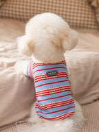 Back view of a white Bichon Frise dog wearing a blue and red striped knit sweater with a brand logo tag.