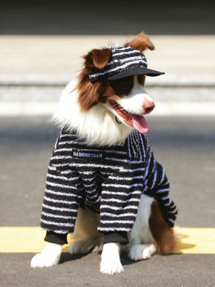 Close-up of a Border Collie dog wearing a black and white striped dog sweater and matching hat, sitting outdoors.