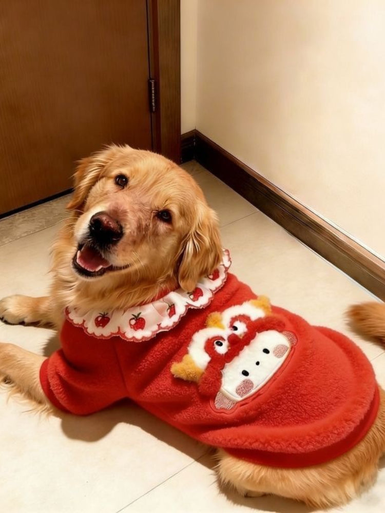 Golden retriever dog lying down and wearing a red fleece sweater