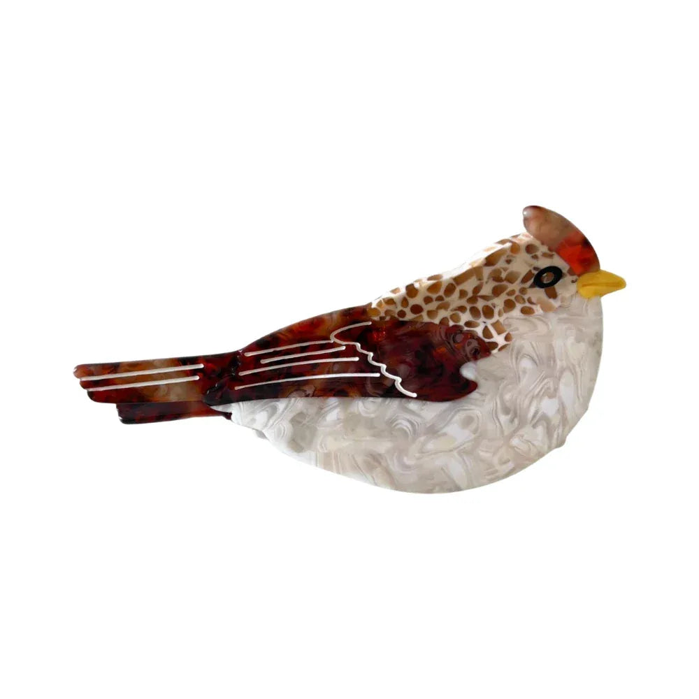 A detailed acrylic resin brooch shaped like a bird, with intricate patterns and a red crest. Main image