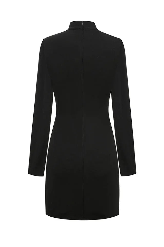 Rora Lace Cutout Mini Dress - View 11 | TEVQA