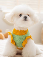 White Bichon Frise wearing a green and yellow knit dog sweater with ruffled trim.