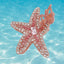 rhinestone starfish hair claw - View 6 | TEVQA