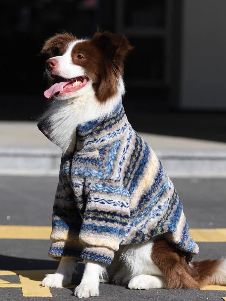 A brown and white Border Collie dog wearing a blue, yellow, and white striped fleece hoodie sits on asphalt, looking to the left with its tongue out.