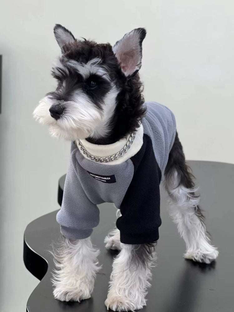 Fleece Colorblock Mock Neck Dog Pullover