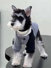 Fleece Colorblock Mock Neck Dog Pullover