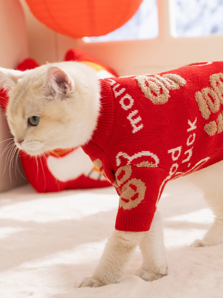 A white cat walking, wearing a red knit sweater with gold Chinese character designs.