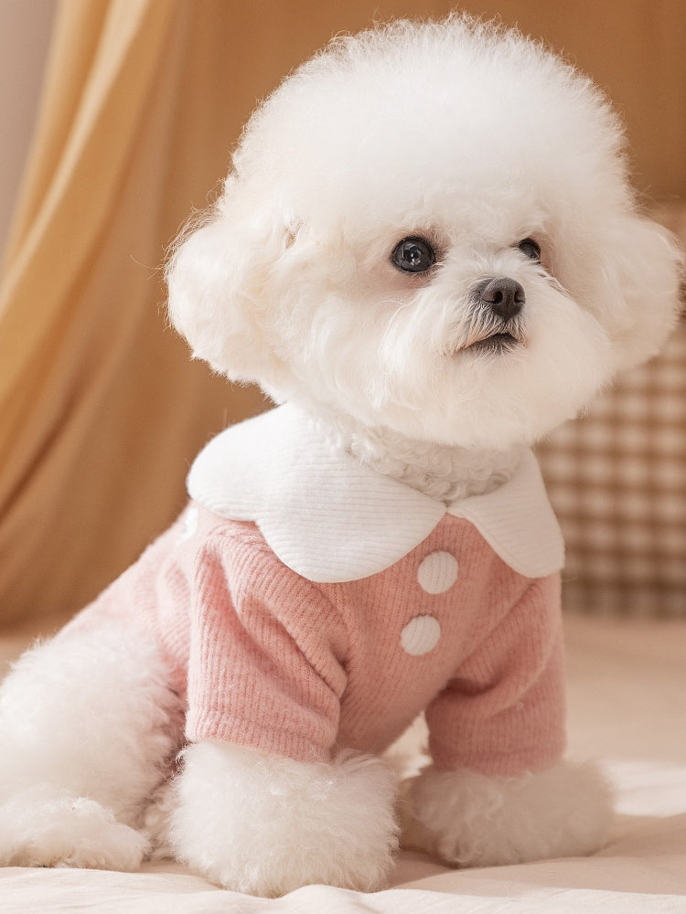Ribbed Dog Sweater with Animal Embroidery - View 6 | TEVQA