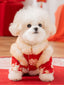 White poodle dog wearing a red festive coat with embroidered rabbits and flowers, sitting on a red rug.