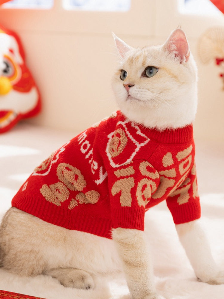 A white cat sitting, wearing a red knit sweater with gold Chinese character designs, looking up.