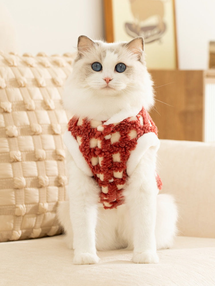 A fluffy white cat with blue eyes sits facing forward, wearing a red and white patterned fleece vest with white trim.