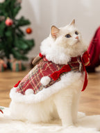 White cat sitting in a festive Christmas cape with faux fur trim and decorative bows.