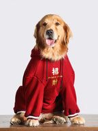 Golden retriever dog wearing a red hoodie with Chinese characters and the text "MADE IN CHINA"
