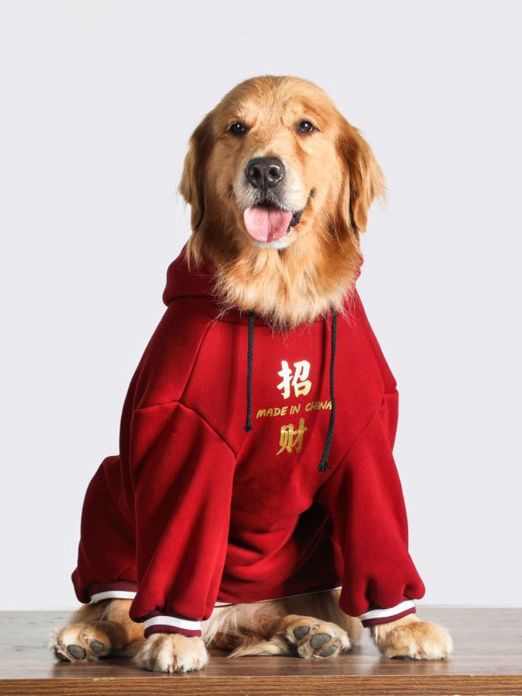 Golden retriever dog wearing a red hoodie with Chinese characters and the text "MADE IN CHINA"