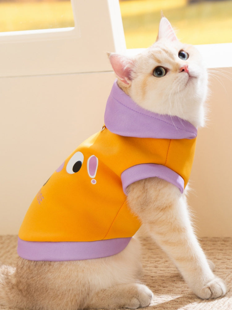 A light-colored cat wearing an orange and purple hoodie, looking up and to the side.