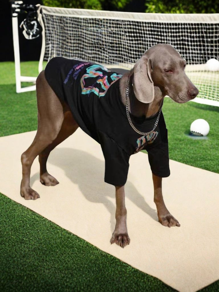 Weimaraner dog wearing a black t-shirt with a colorful graphic print and silver chain, standing on a tan mat on a tennis court.