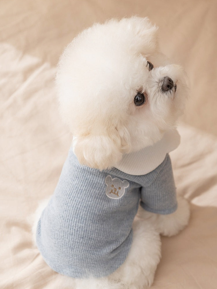 Close-up of a white Bichon Frise dog wearing a light blue ribbed knit sweater with a white ruffled collar and a small embroidered bear motif on the chest.