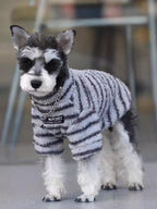 Miniature schnauzer puppy wearing a grey and white striped terry cloth dog sweater with a chain collar detail, standing.