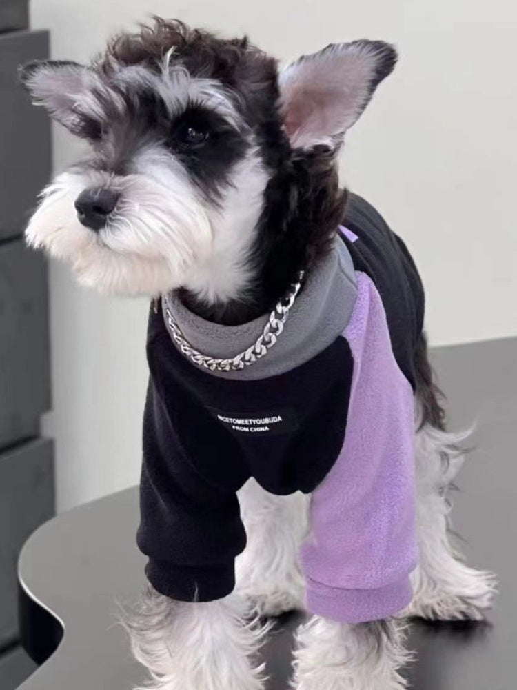 Close-up of a Miniature Schnauzer dog in a black and lavender fleece sweater, showcasing the garment's texture and design.