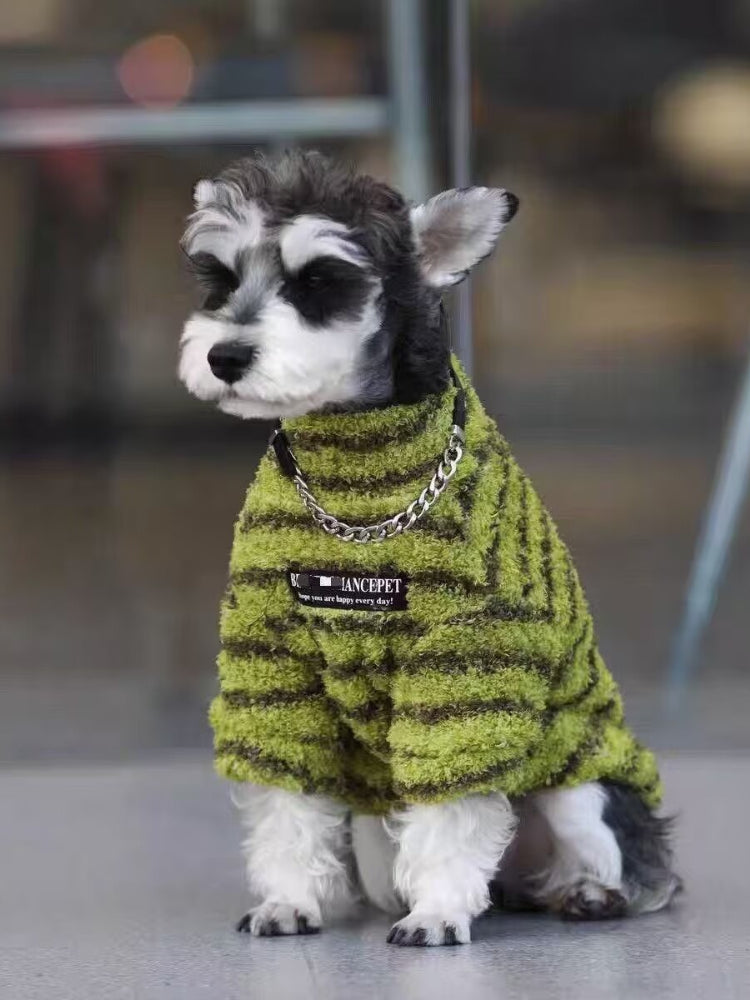 Miniature schnauzer puppy wearing a green and brown striped terry cloth dog sweater with a chain collar detail, sitting down, slightly different angle.