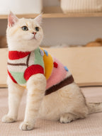 A cream-colored cat wearing a colorful striped sweater sits on a textured surface, facing to the left.