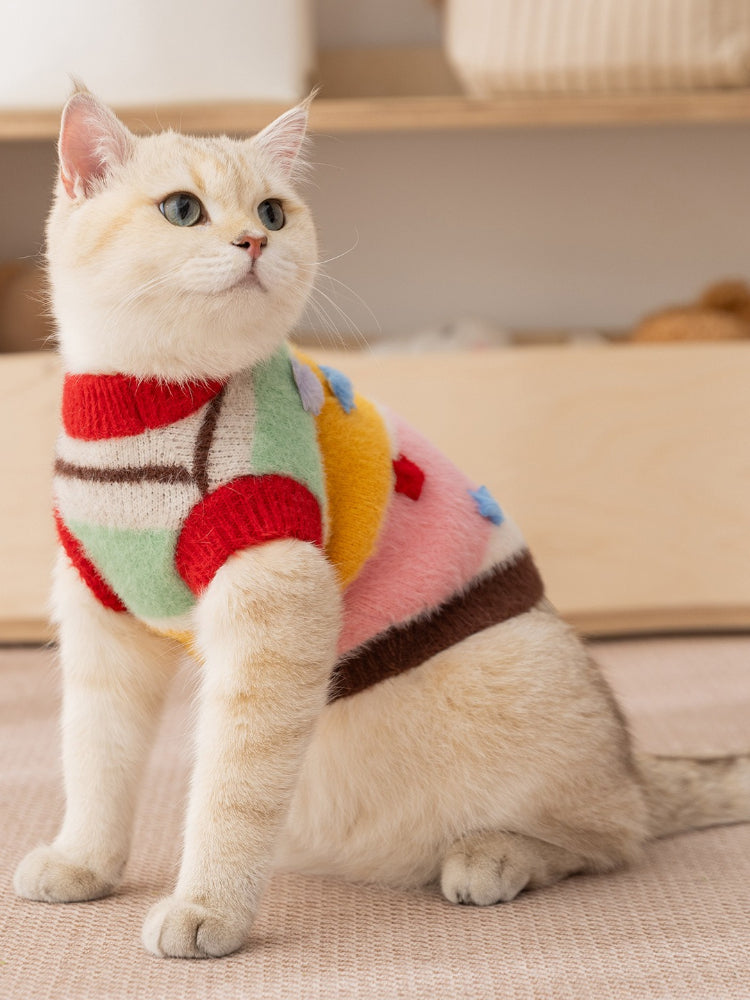 A cream-colored cat wearing a colorful striped sweater sits on a textured surface, facing to the left.