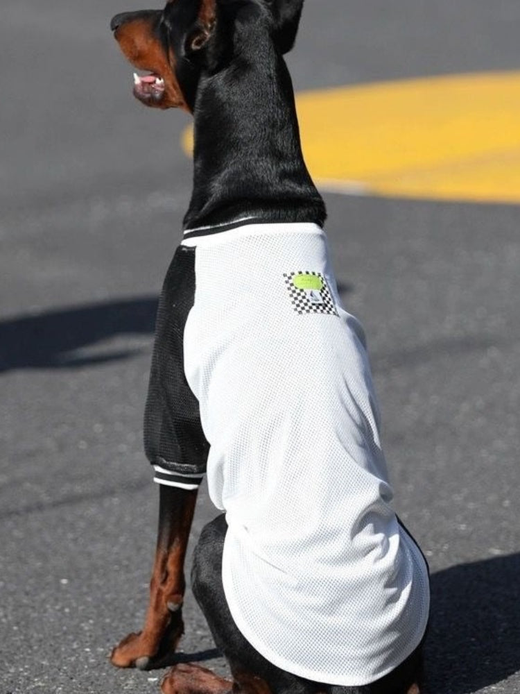 Side view of a Doberman Pinscher in a black and white mesh tank top.