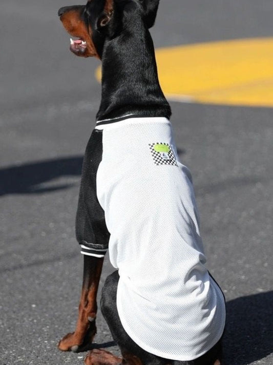 Sporty Breathable Mesh T-Shirt For Large Dogs White
