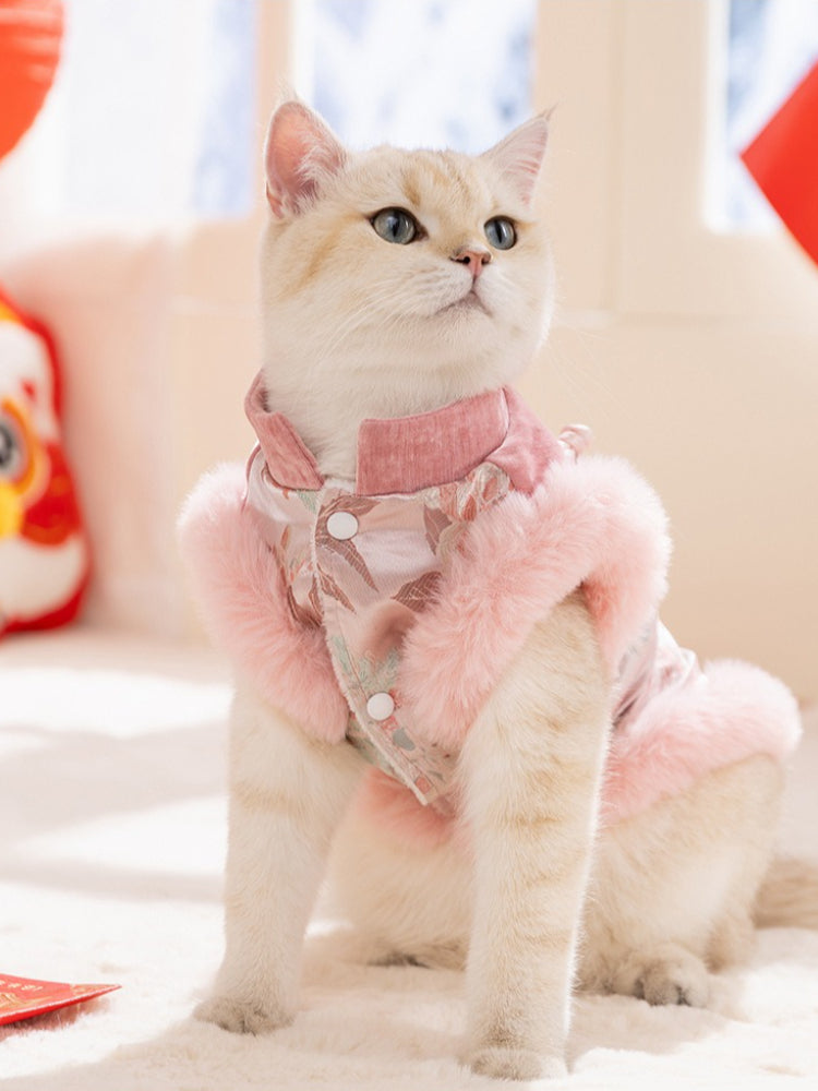 A light-colored cat wearing a pink traditional Chinese-style vest with floral embroidery and pink faux fur trim, sitting and looking upwards.