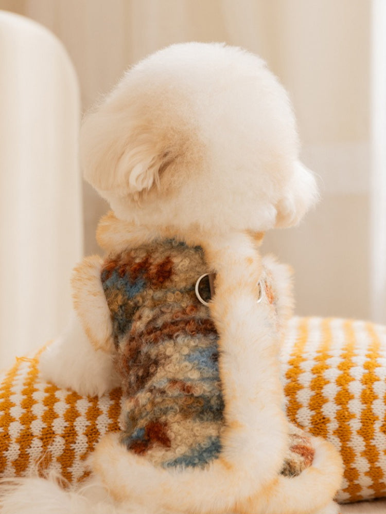 Rear view of a white Bichon Frise dog wearing a tweed vest with faux fur trim, showing leash attachment rings.