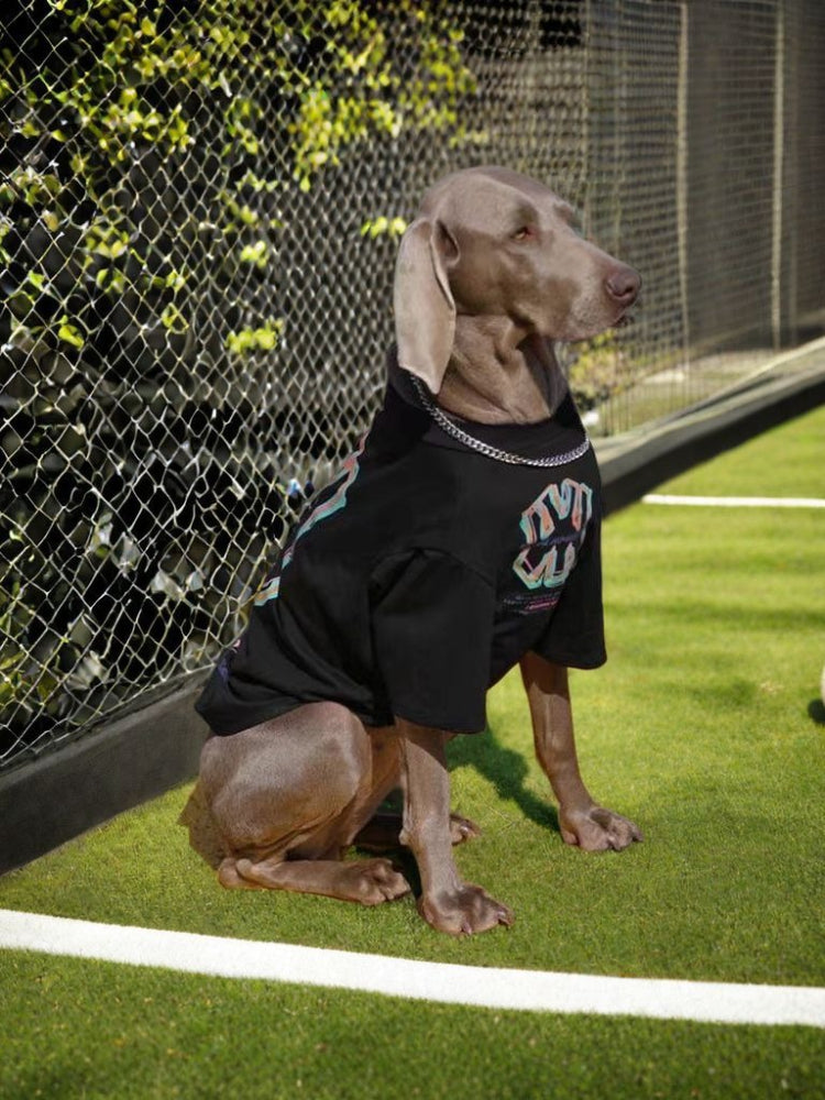 Weimaraner dog wearing a black t-shirt with a colorful graphic print and silver chain, sitting on green turf near a tennis net. Secondary image