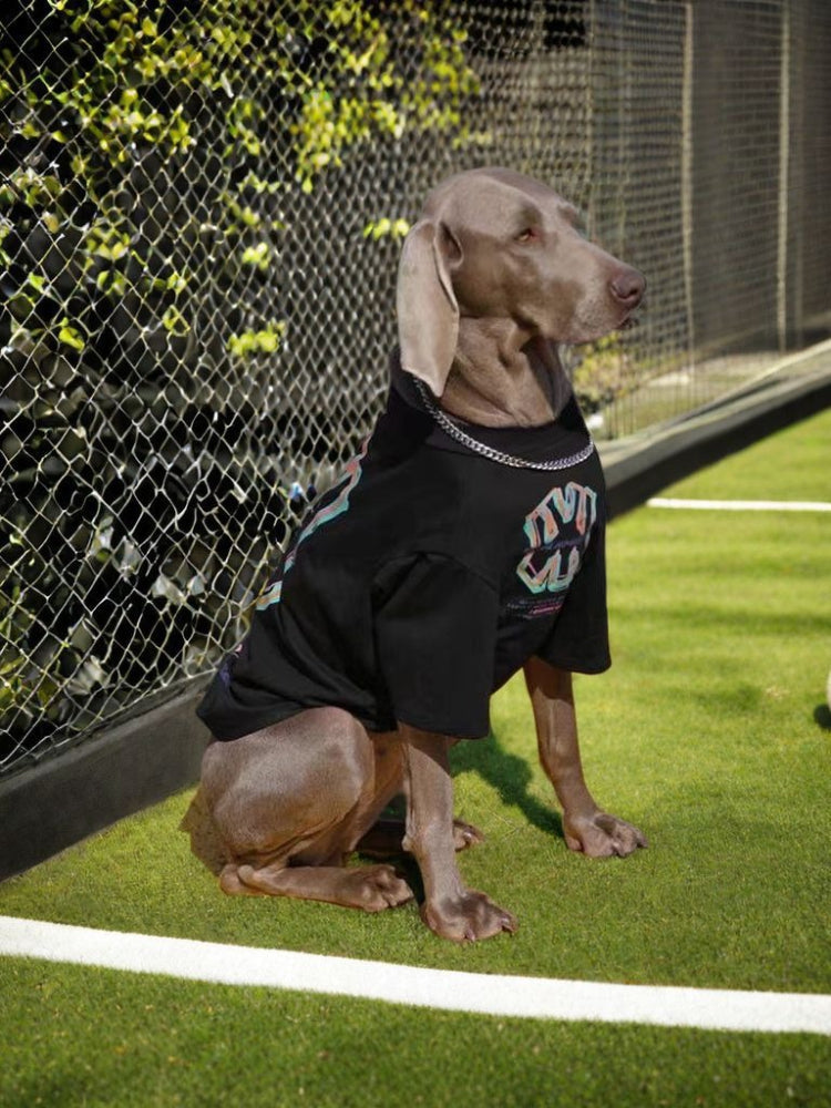Weimaraner dog wearing a black t-shirt with a colorful graphic print and silver chain, sitting on green turf near a tennis net.