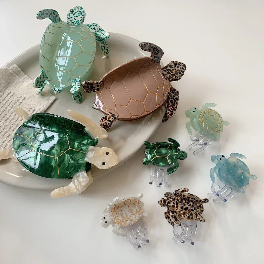 Close-up of large and small turtle hair clips, showcasing different colors and translucent effects