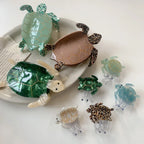 Close-up of large and small turtle hair clips, showcasing different colors and translucent effects