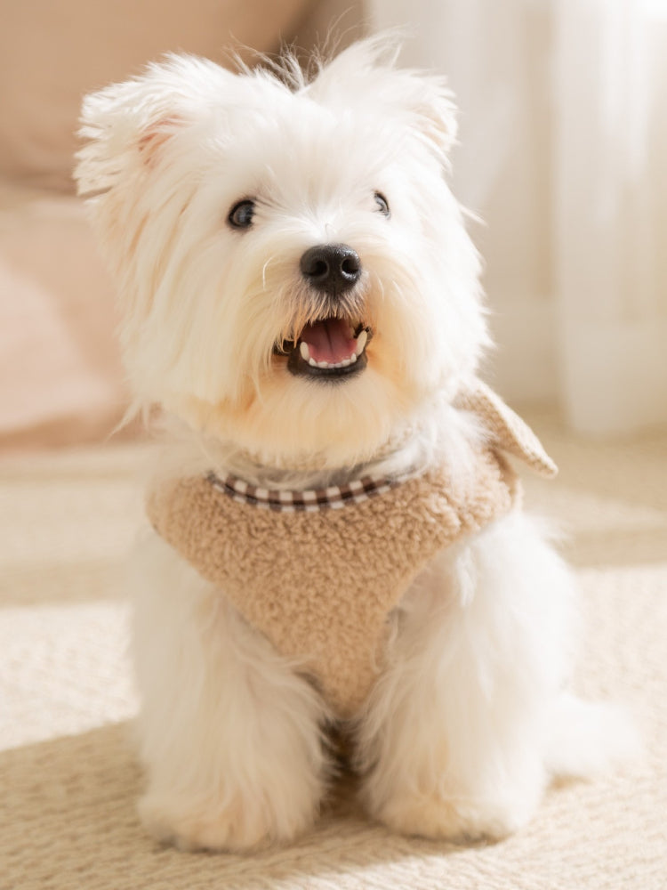 White dog wearing a tan fleece vest with embroidered bear appliques and a checkered trim.
