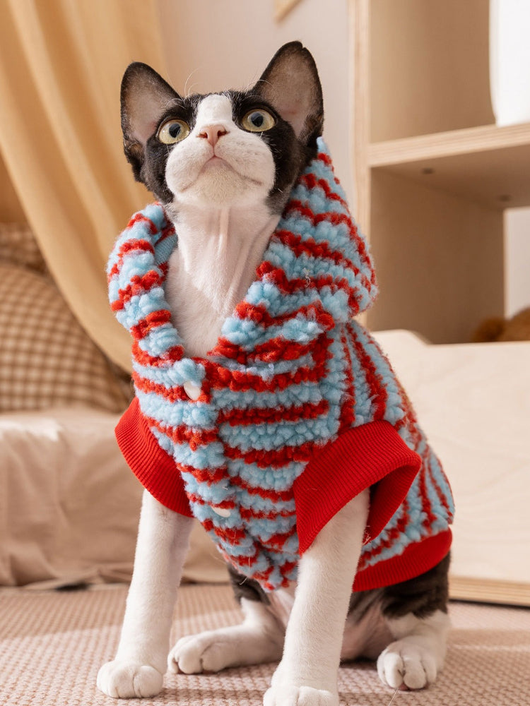 Sphynx cat wearing a blue and red striped sherpa fleece hoodie with a hood.