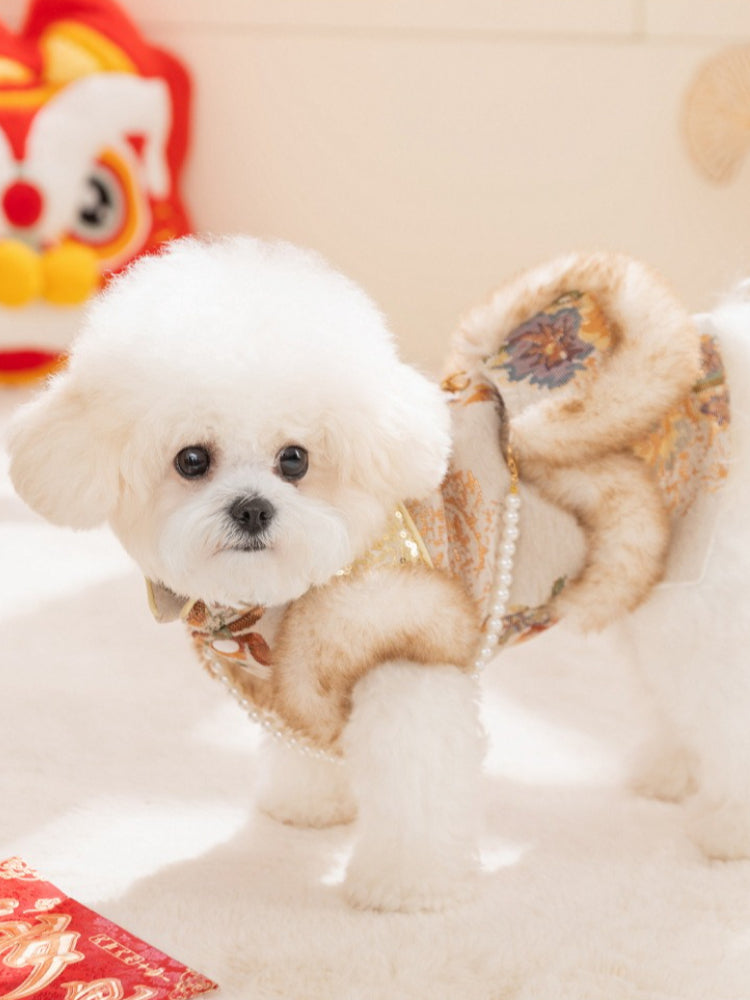 Red floral brocade dog cheongsam winter coat with faux fur trim - View 6 | TEVQA