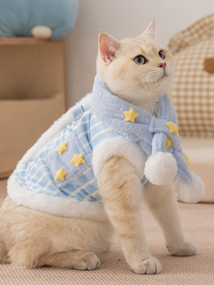 A cream-colored cat sitting upright, wearing a light blue striped vest with white faux fur trim and yellow embroidered stars, along with a matching blue scarf featuring stars and pom-poms.