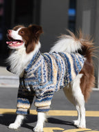 A brown and white Border Collie dog wearing a blue, yellow, and white striped fleece hoodie stands on asphalt, looking to the left with its tongue out.