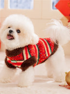 A white bichon frise dog standing and wearing a red, white, and green striped sweater with a brown collar and trim.