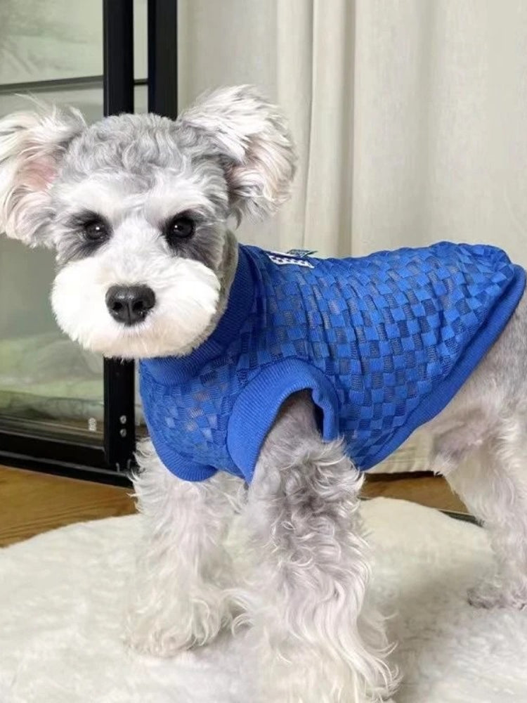 Miniature schnauzer standing and wearing a blue checkered mesh knit dog sweater.