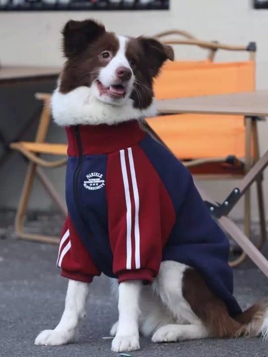 Sporty Zip-Up Fleece Track Jacket For Large Dogs