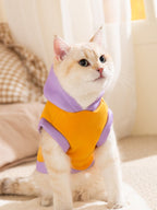 A light-colored cat wearing an orange and purple hoodie, looking up and to the side.