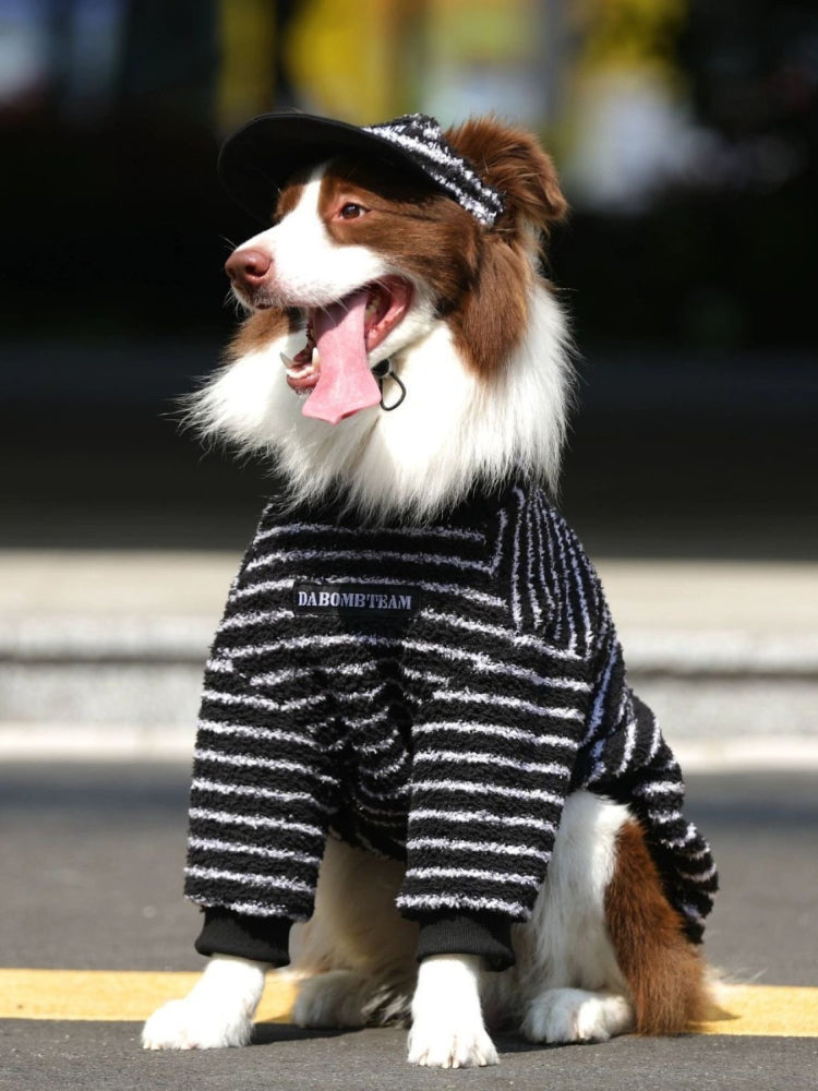 Border Collie dog wearing a black and white striped dog sweater and matching hat, sitting outdoors.