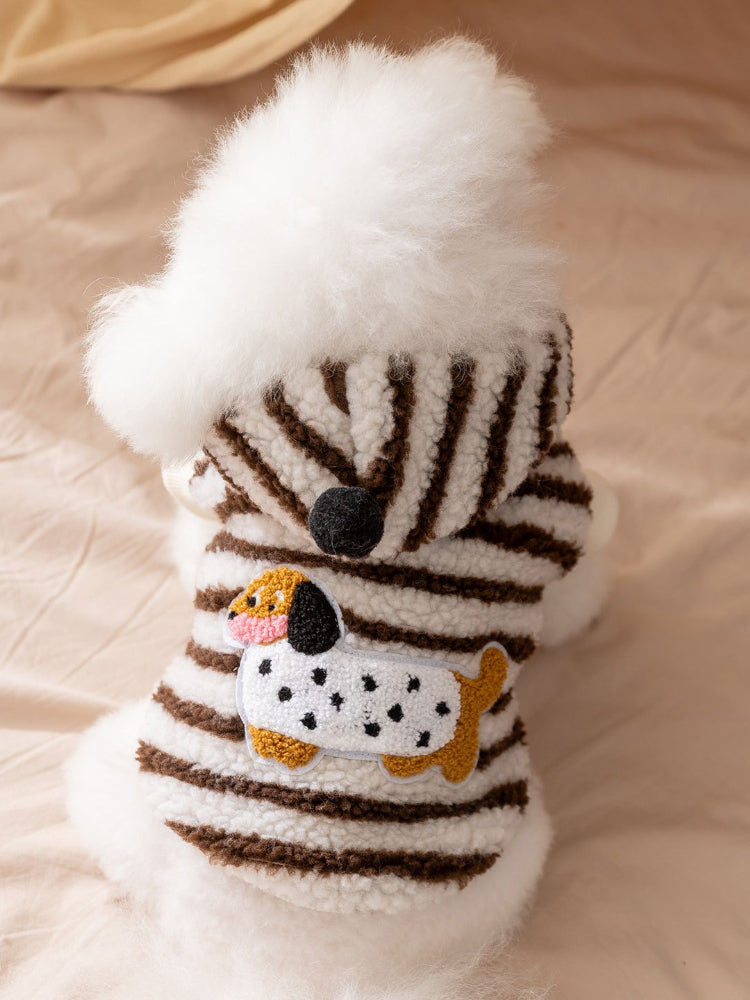 A white Bichon Frise dog wearing a brown and white striped hooded dog coat with a dalmatian appliqué on the back.