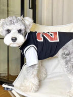 A small white dog in a black and white basketball jersey is standing on a chair, looking towards the camera.