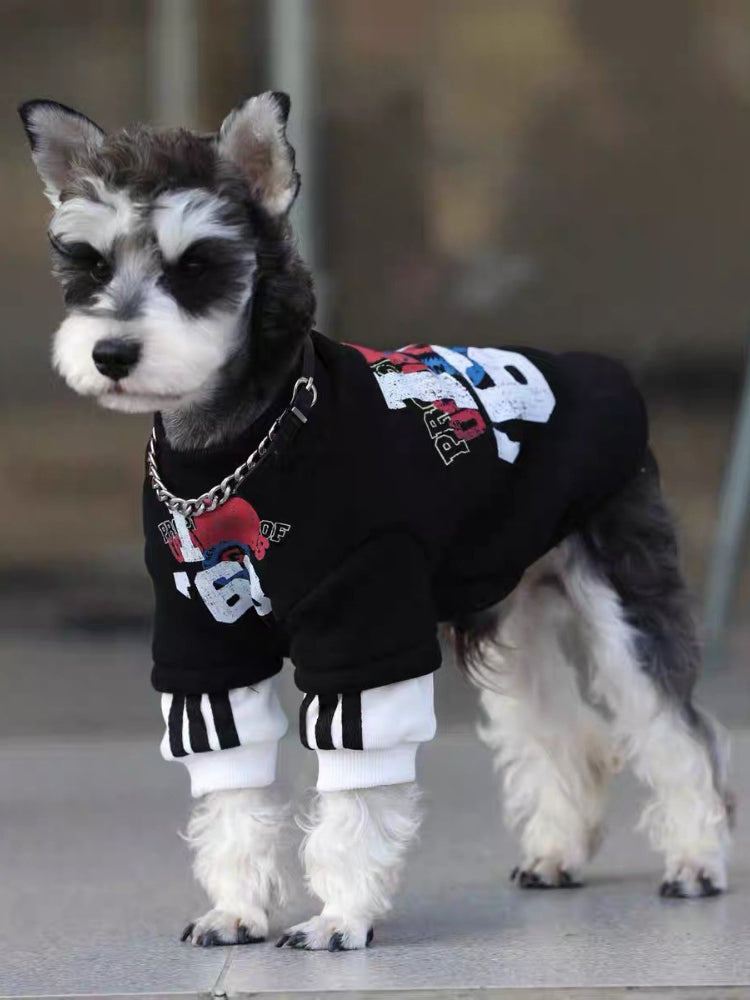 Side view of a Mini Schnauzer dog wearing a black graphic print sweater