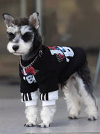Side view of a Mini Schnauzer dog wearing a black graphic print sweater